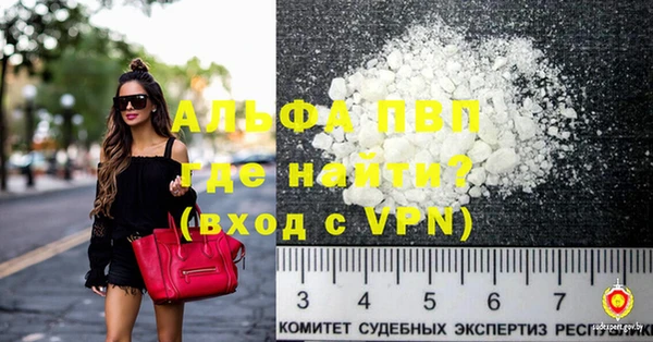 молекула духа Ладушкин