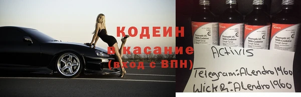 молекула духа Ладушкин