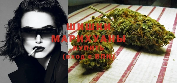 молекула духа Ладушкин