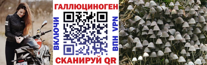 цена наркотик  Таганрог  Псилоцибиновые грибы Magic Shrooms 
