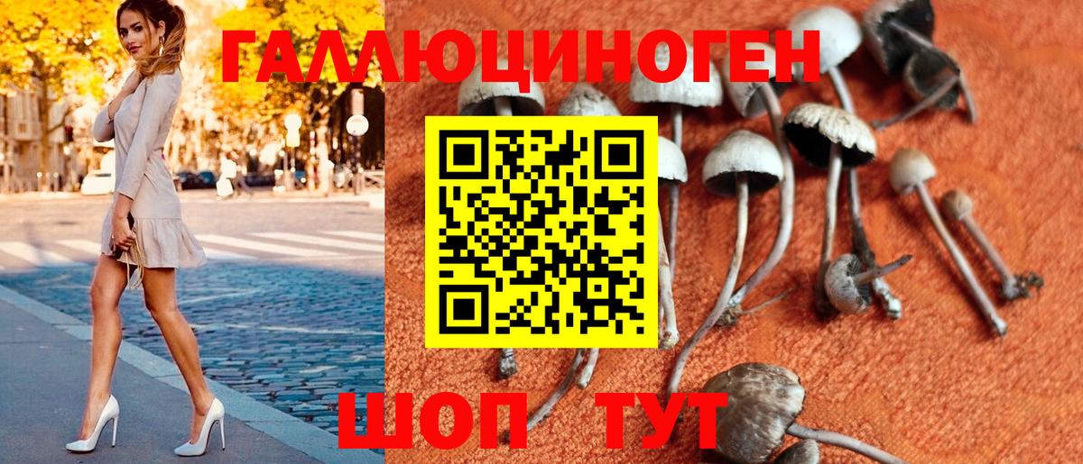 Галлюциногенные грибы GOLDEN TEACHER  Псилоцибиновые грибы мухоморы  Таганрог 