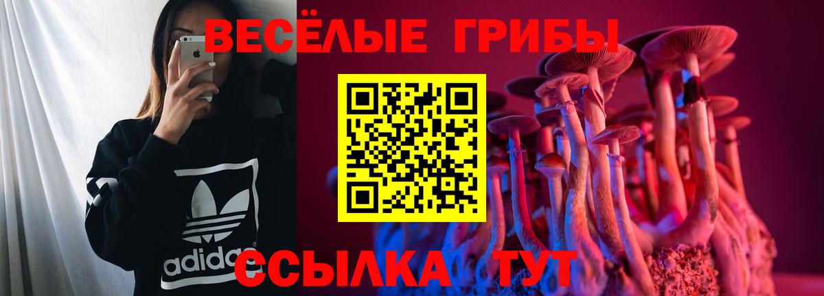 Галлюциногенные грибы Magic Shrooms Таганрог