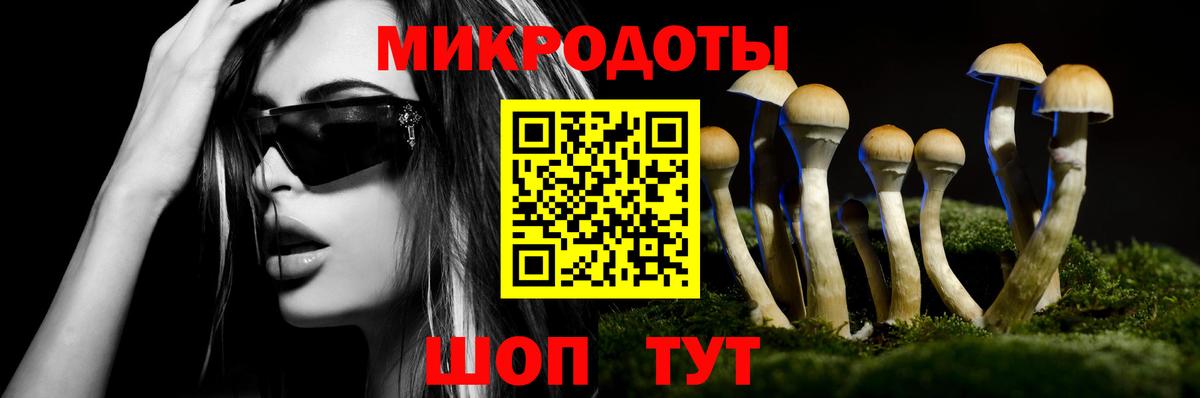Псилоцибиновые грибы Psilocybe  Вход с VPN  Таганрог 